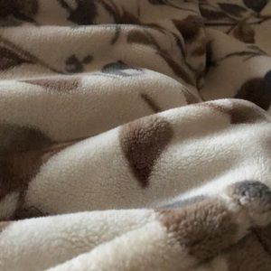 Meet your Posher, Isabelle